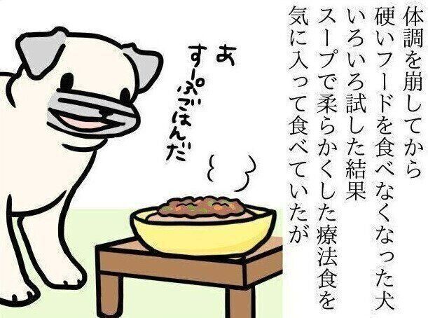 【連載】パグ犬・めー vol.121