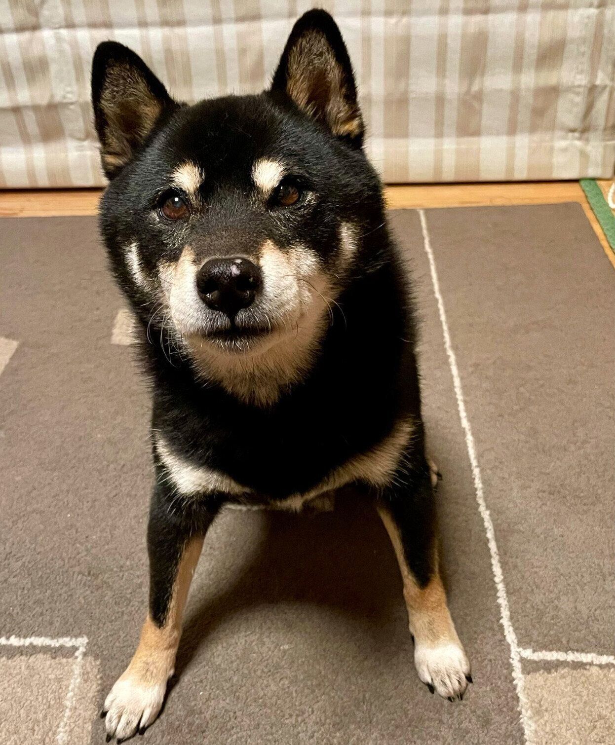 見つめる慧沼くん