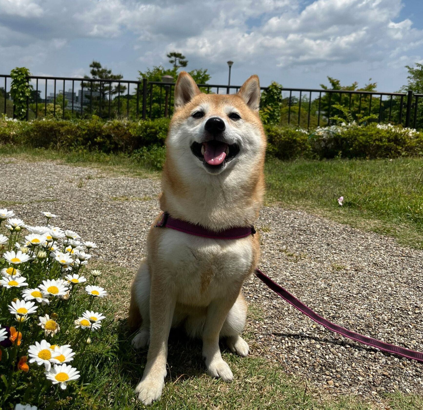 お出かけを楽しむおとちゃん