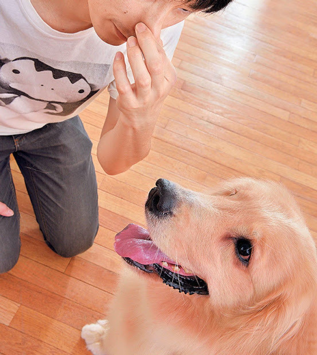 夏も爽快に ベタつきやニオイを抑える犬の 地肌洗いシャンプー いぬのきもちweb Magazine 夏も爽快に ベタつきやニオイを抑える犬の 地肌洗いシャンプー いぬのきもちweb Magazine