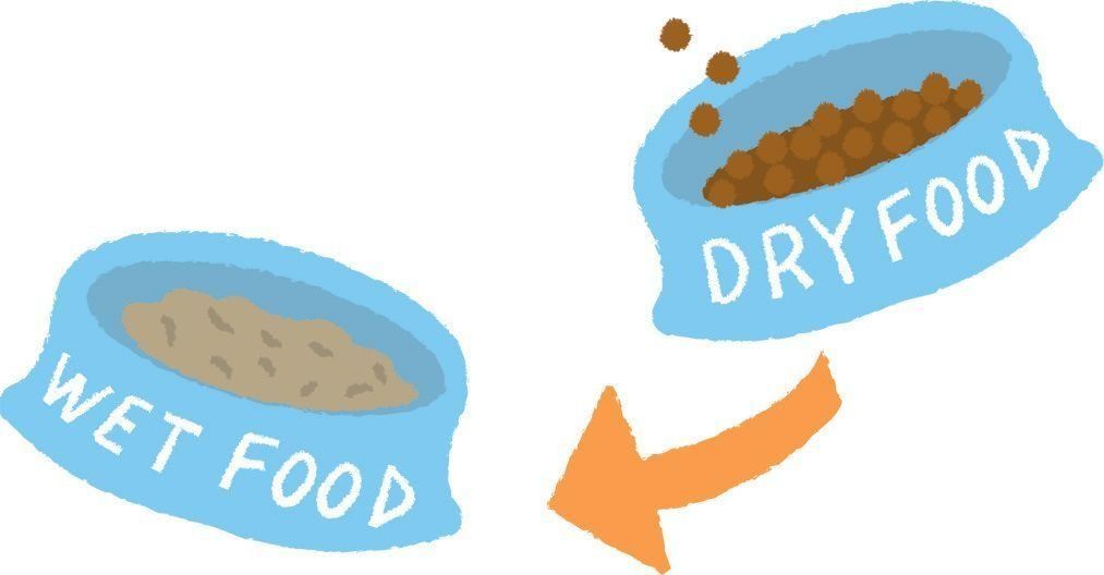 イラスト／石山綾子