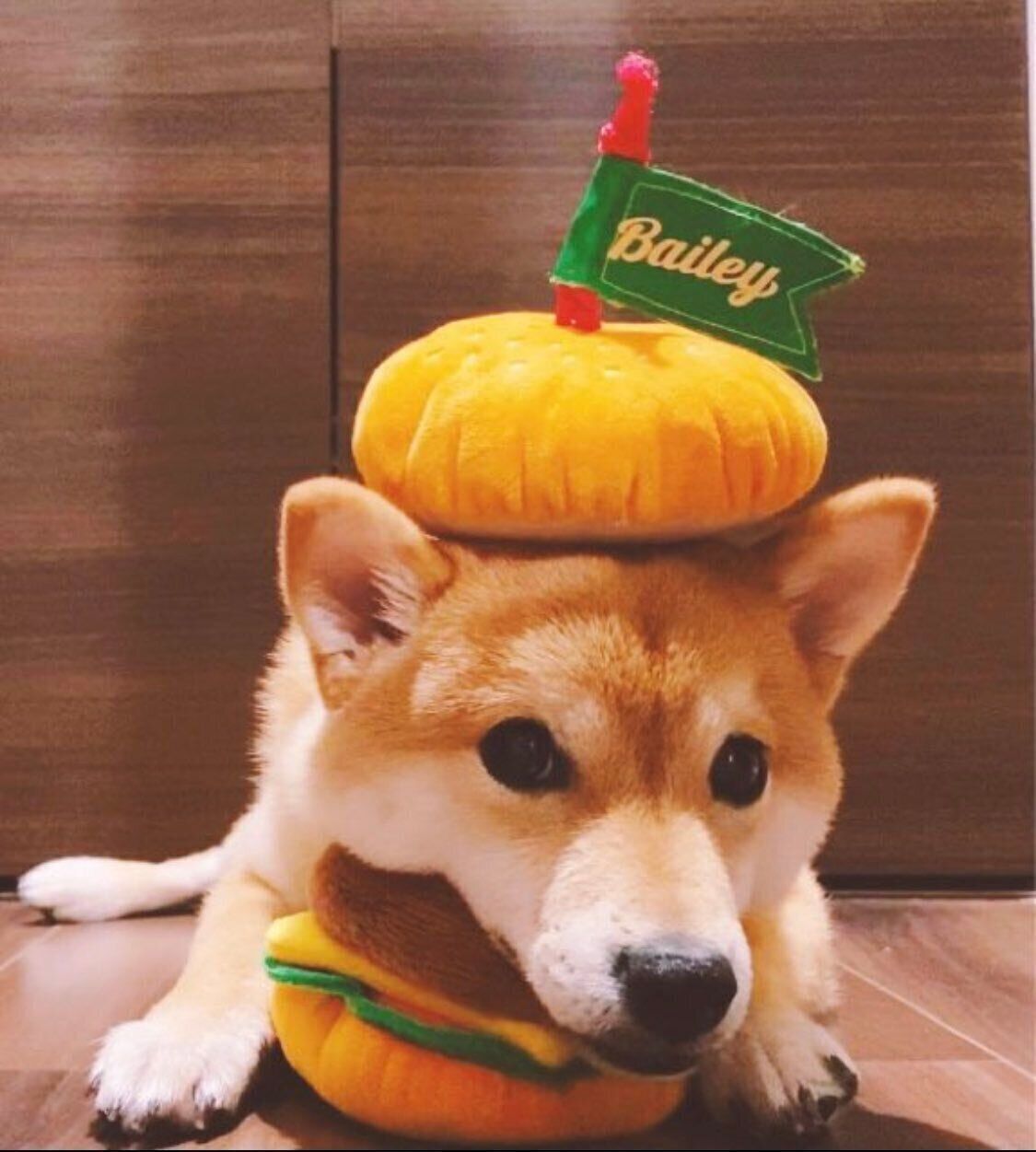 見つめる陽くん