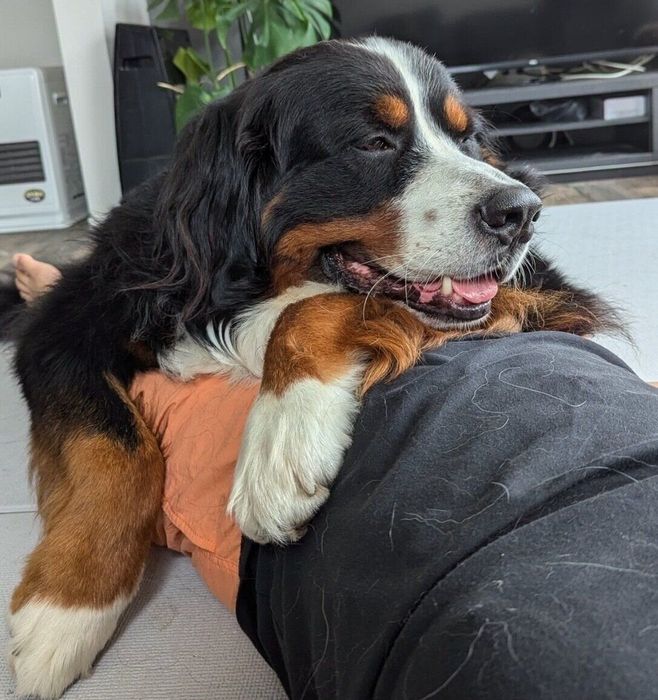 腹筋中のパパさんを手伝うまさおくん