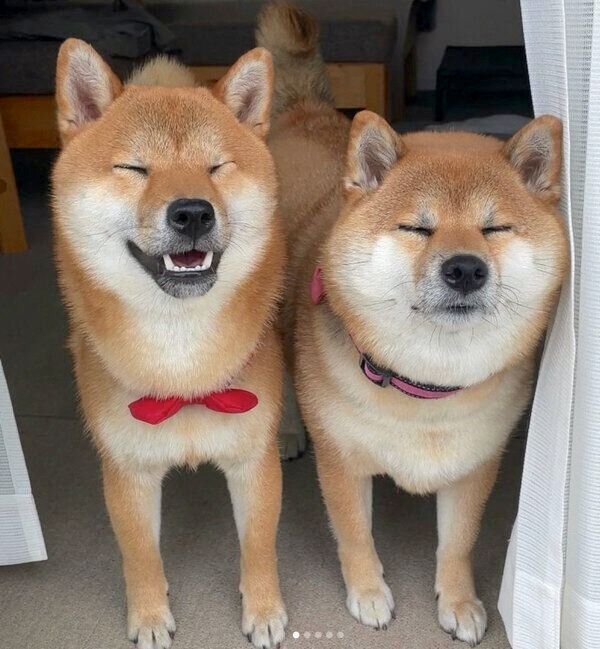 むーちゃんとこーちゃん