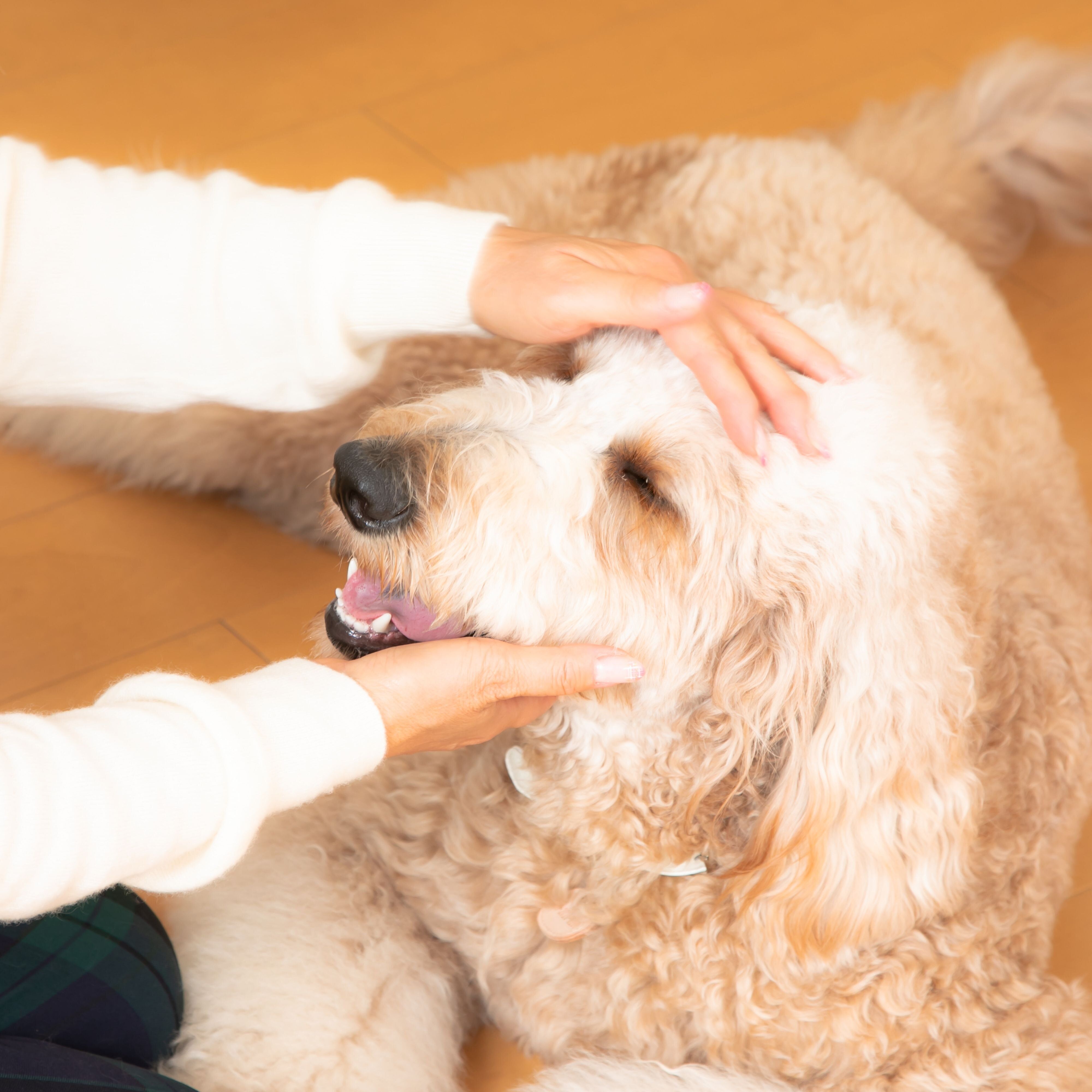 撮影／殿村忠博