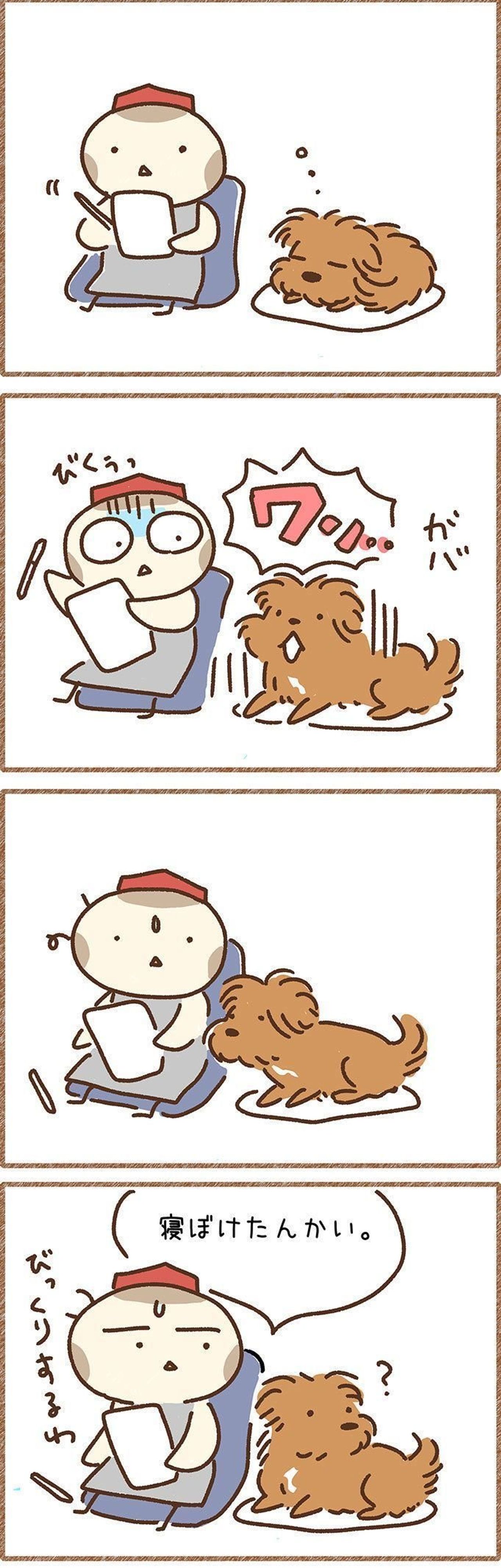 夢を見ていたの 寝ぼける犬 連載 こぐま犬てんすけ Vol 45 いぬのきもちweb Magazine 夢を見ていたの 寝ぼける犬 連載 こぐま犬てんすけ Vol 45 いぬのきもちweb Magazine