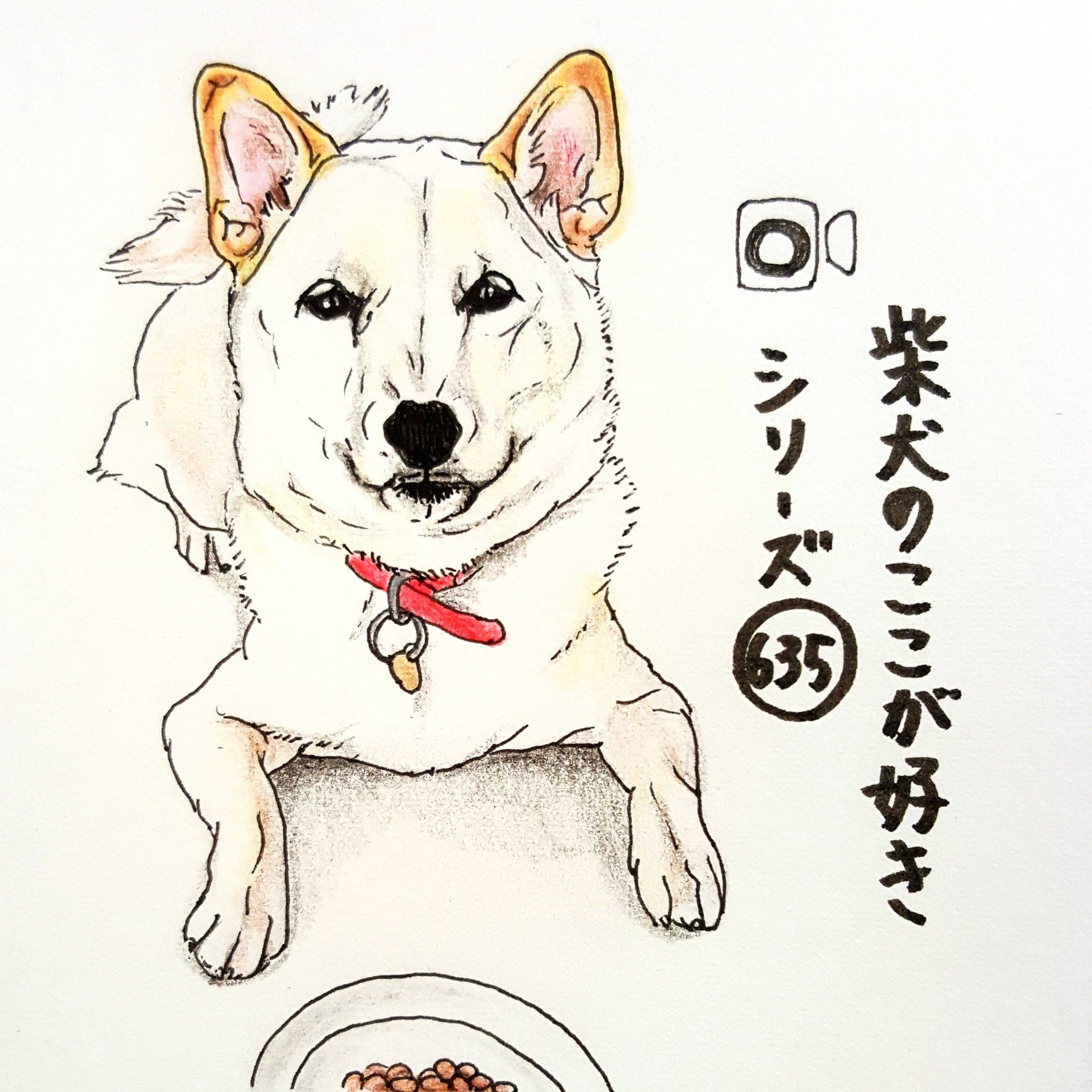 写真 ってほど犬が動かない動画 連載 ここ掘れここ柴 Vol 35 いぬのきもちweb Magazine 写真 ってほど犬が動かない動画 連載 ここ掘れここ柴 Vol 35 いぬのきもちweb Magazine
