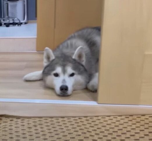 お姉ちゃんを監視する文太くん