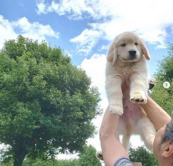 パパさんに抱っこされるアランくん