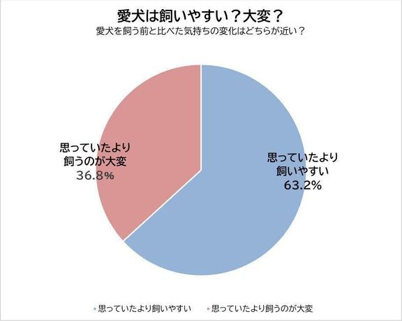 Q.パピヨンは飼いやすい?思っていたより飼うのが大変?