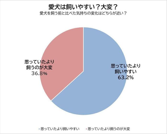 愛犬は飼いやすい?大変?
