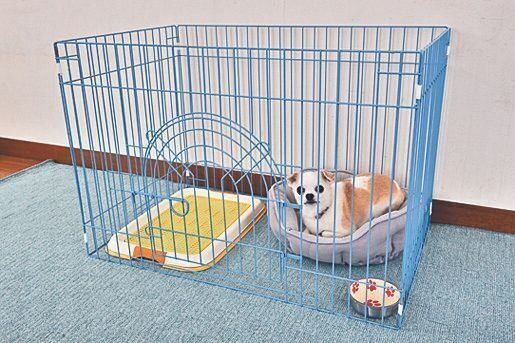 いつもの環境を再現