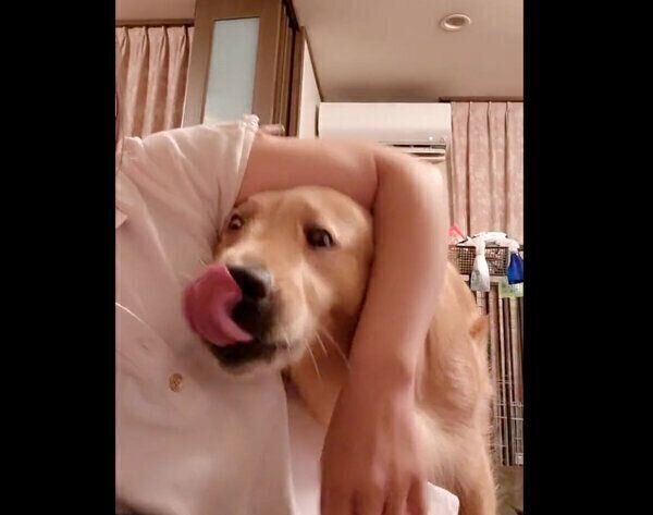 「なでて」とアピールをするシャーロットちゃん