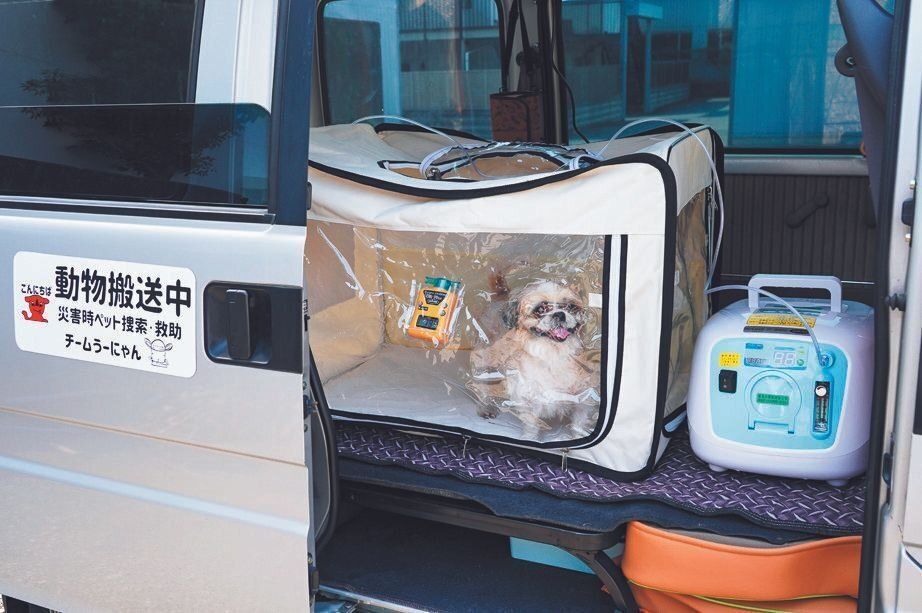 災害時に使う車を最大限活用するため、酸素室を備えた「動物用救急車」のサービスも開始。緊急処置が必要になった犬を動物病院に運びます