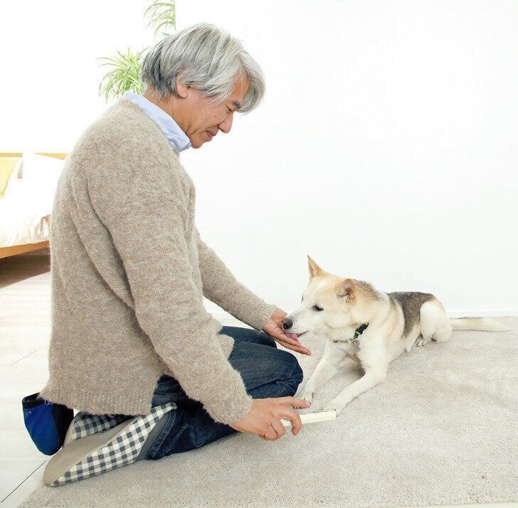 録音したチャイム音を、小さい音から聞かせて徐々に慣れさせましょう