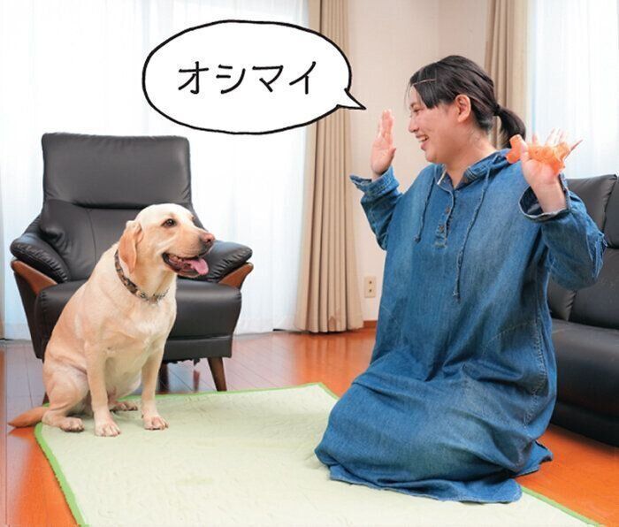 興奮吠え直しトレーニング中の犬