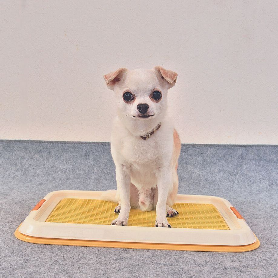 撮影／佐藤正之