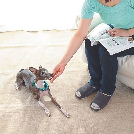 撮影/尾﨑たまき