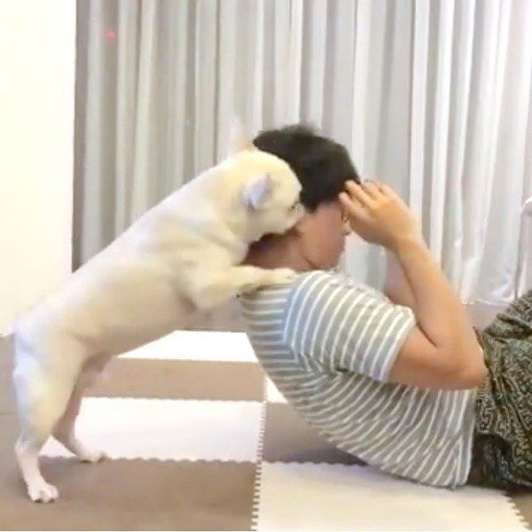 スパルタトレーナーのれおんくん