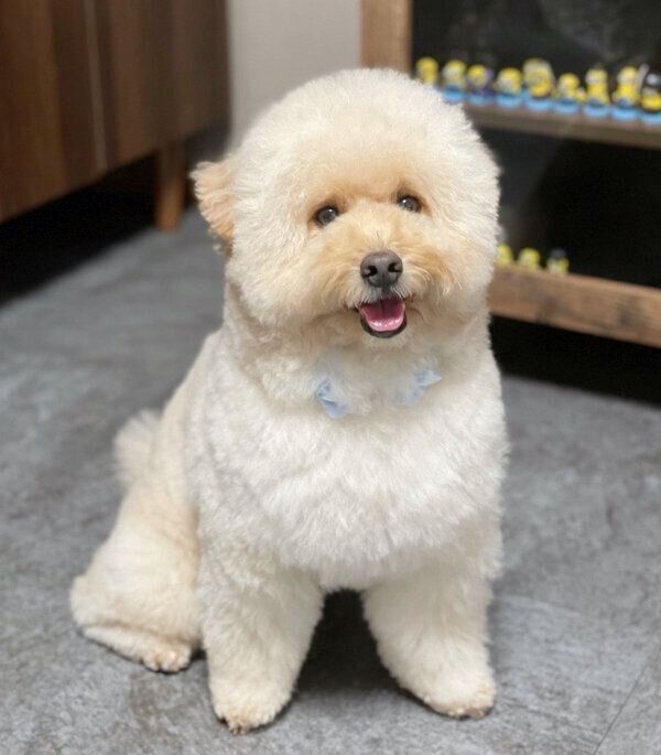 笑顔が可愛いぺんたくん