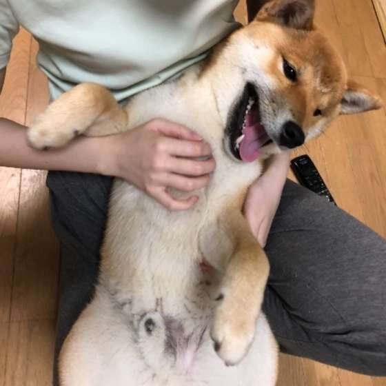 お腹もっと撫でて〜♪