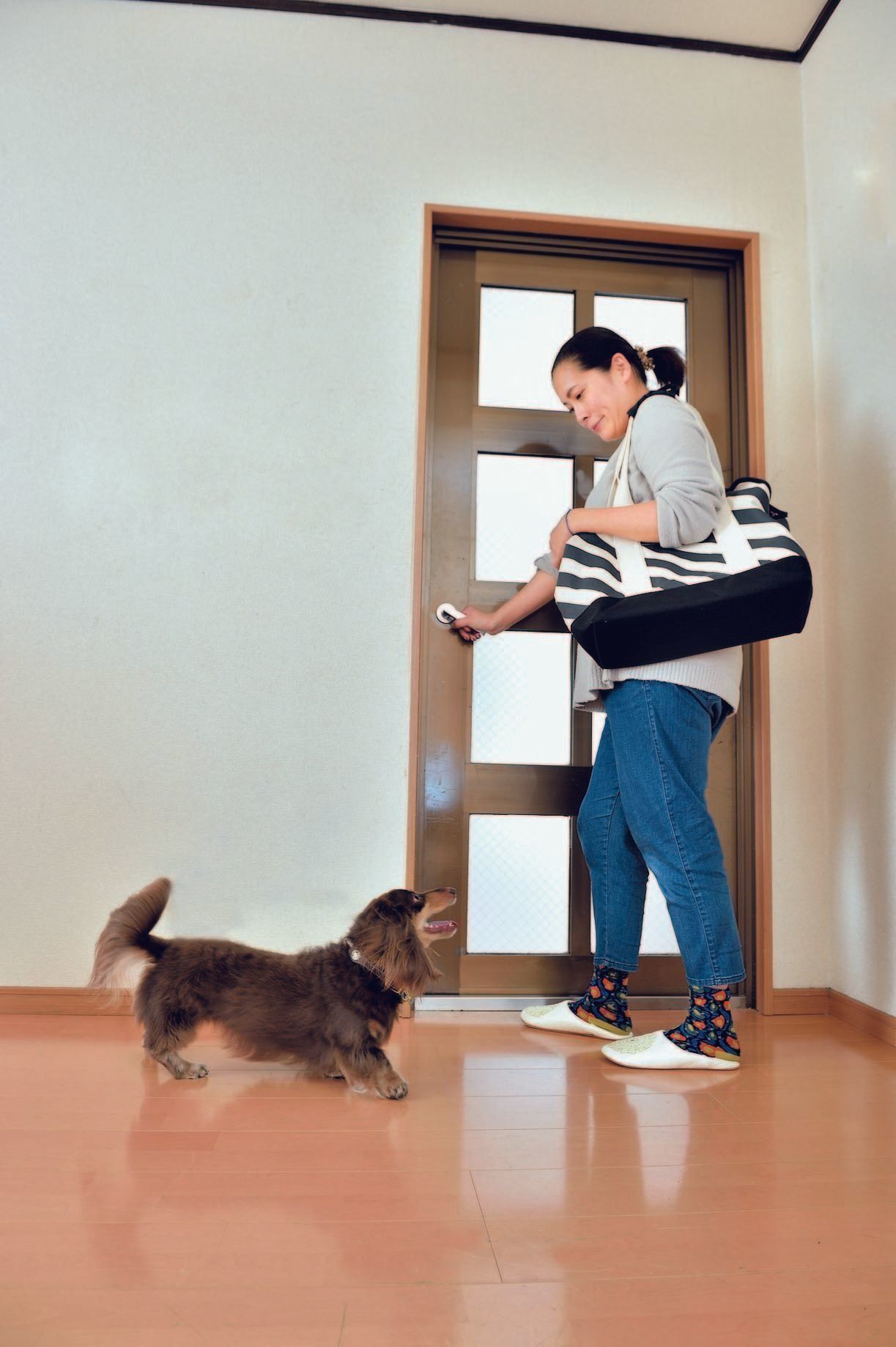 散歩は可能な限り毎日行かないと運動不足になり、ストレスも蓄積（撮影／佐藤正之）