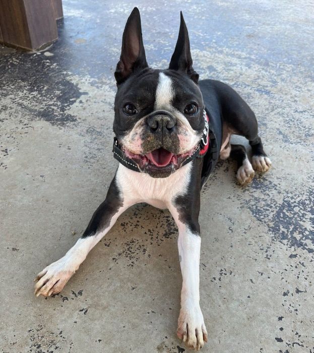 泥んこになるまで遊んだぼのくん