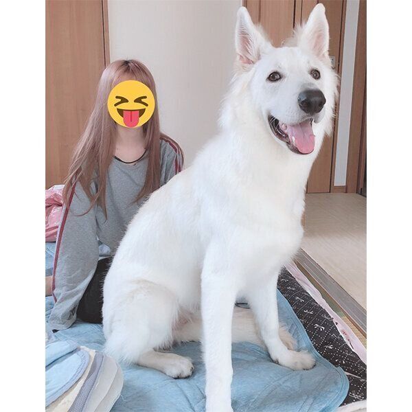 飼い主さんと並ぶモフちゃん