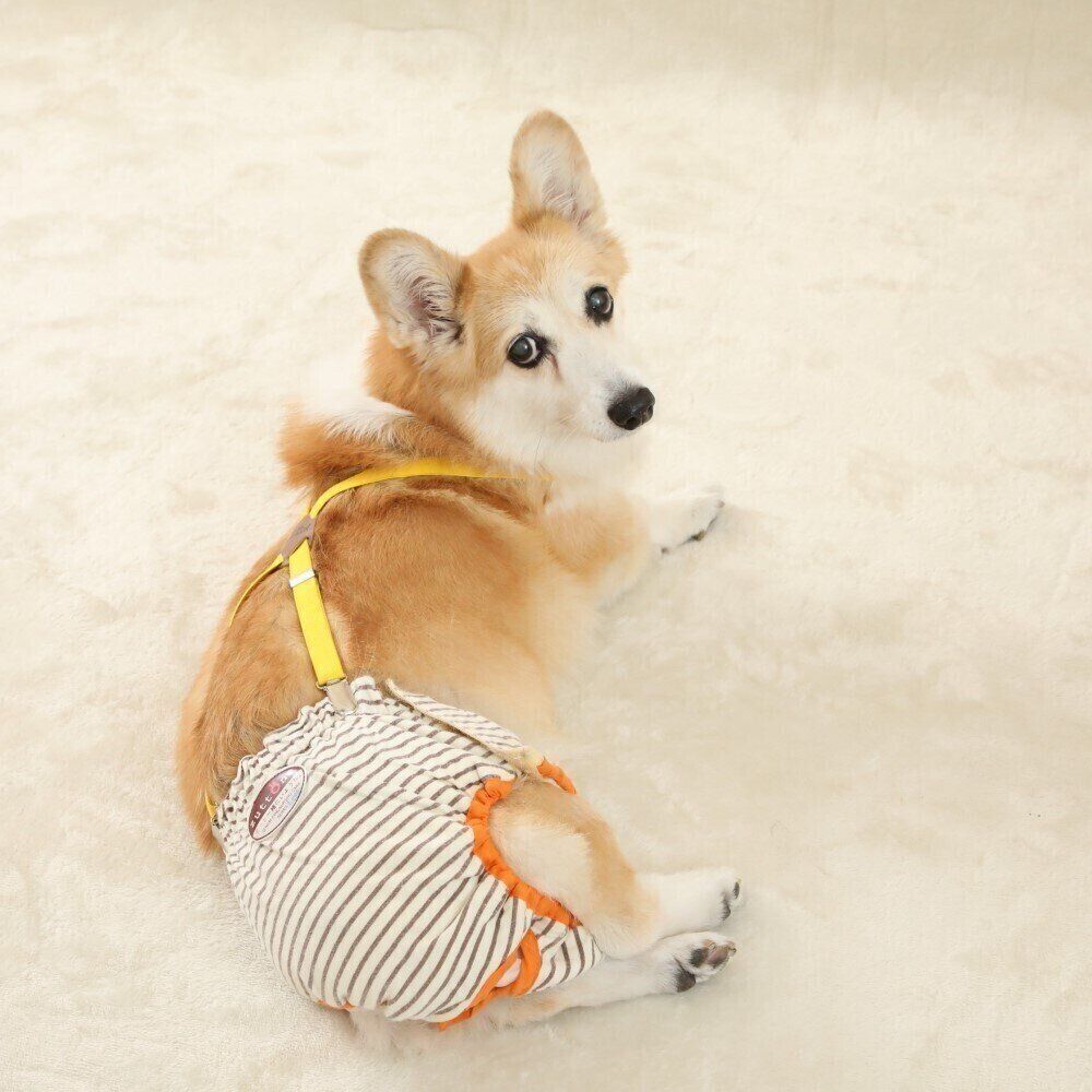 撮影／尾﨑たまき