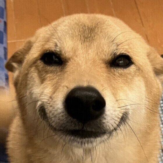 にっこりするシシィちゃん