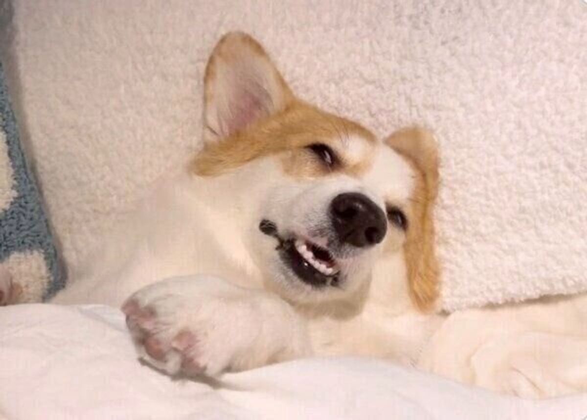 Sqswrmvxd2kom Sqswrmvxd2kom