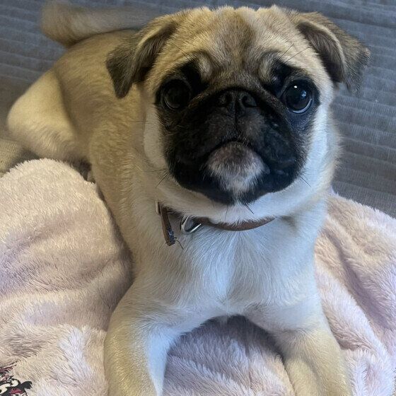 シャワーを浴びたRaLaちゃん