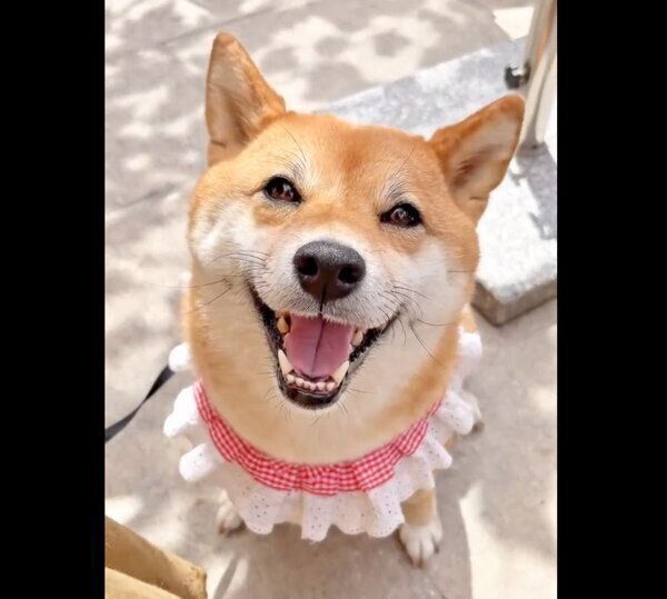 笑顔が可愛いももっぷちゃん