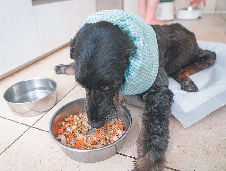 撮影／田尻光久