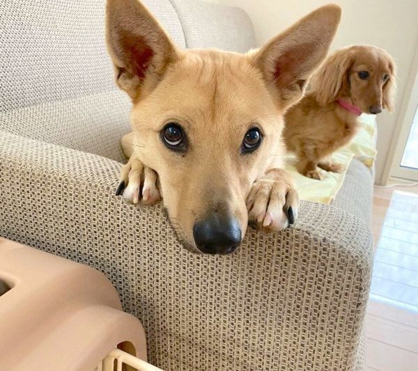 仲良しなりくちゃんとらむちゃん