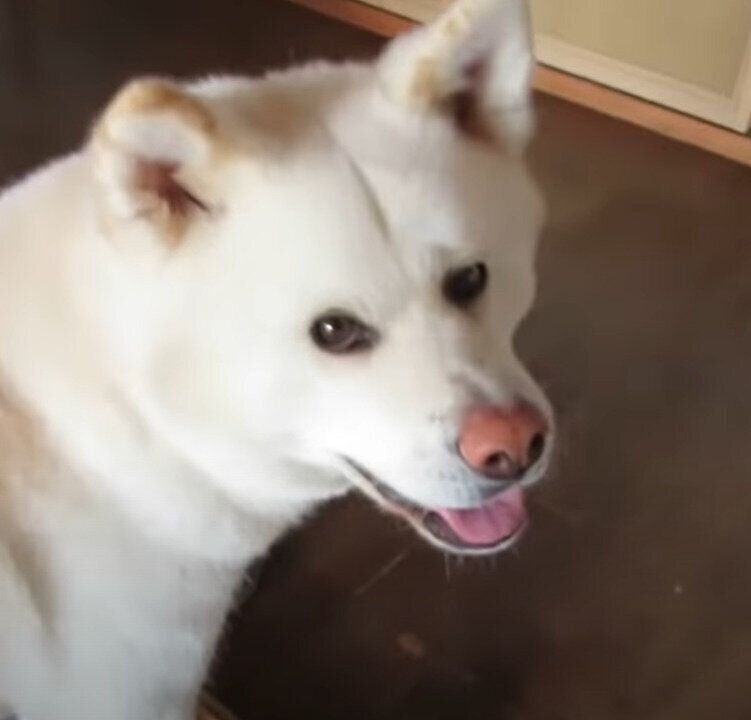 廊下を確認しているゆうき君