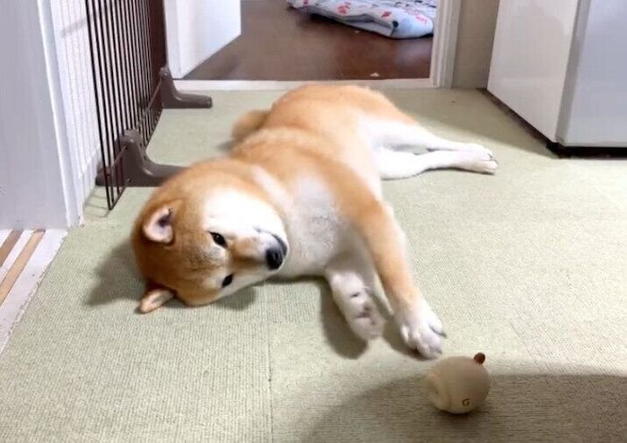 「省エネな遊び」をするそらまめくん