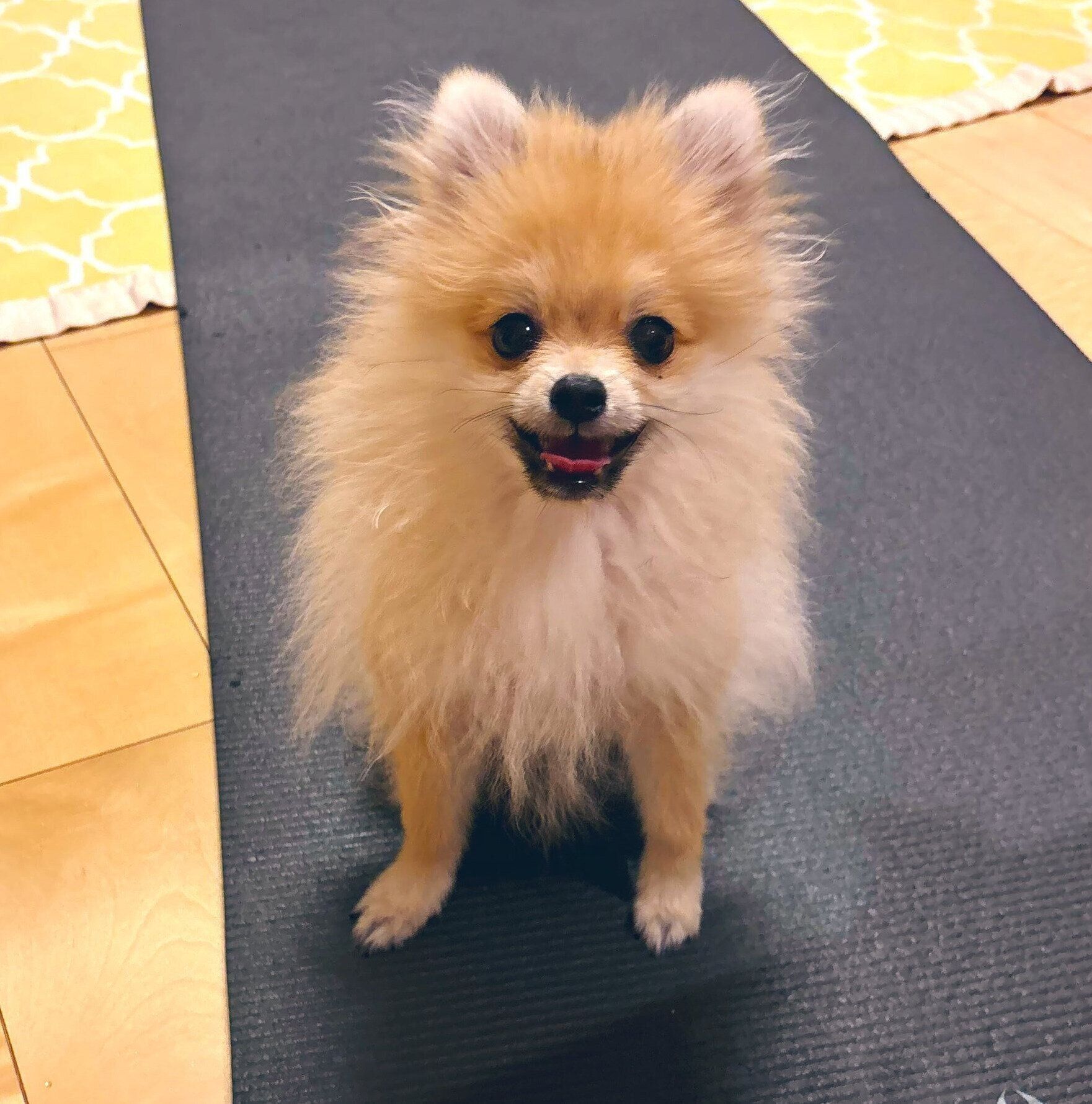 笑顔のたぬくん