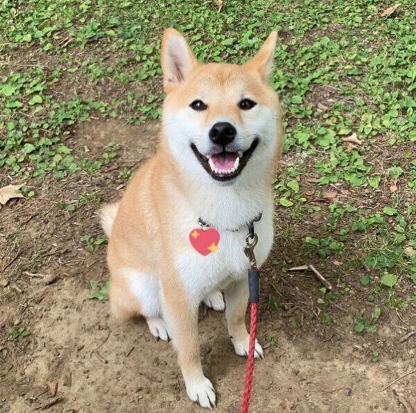 笑顔を見せるいとさん