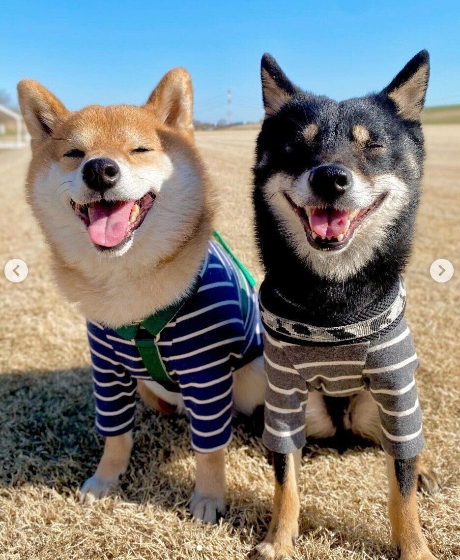 楽しそうな豆助くん、陽太くん