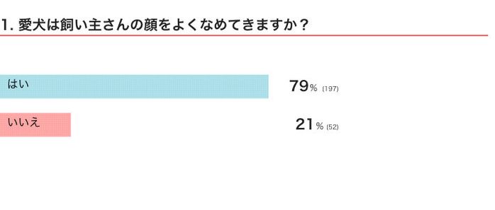 愛犬は飼い主さんの顔をよくなめてきますか?