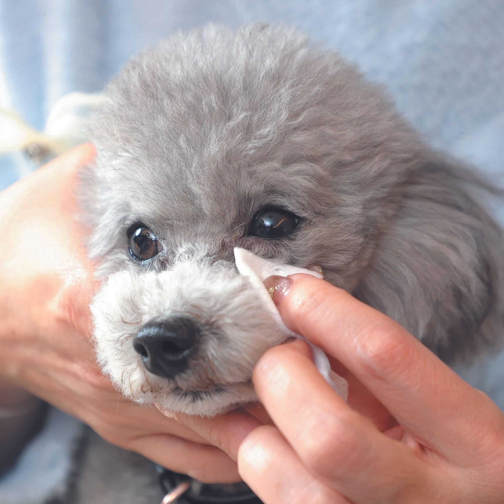 撮影／尾﨑たまき