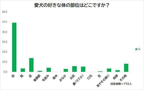 愛犬の好きな体の部位は?