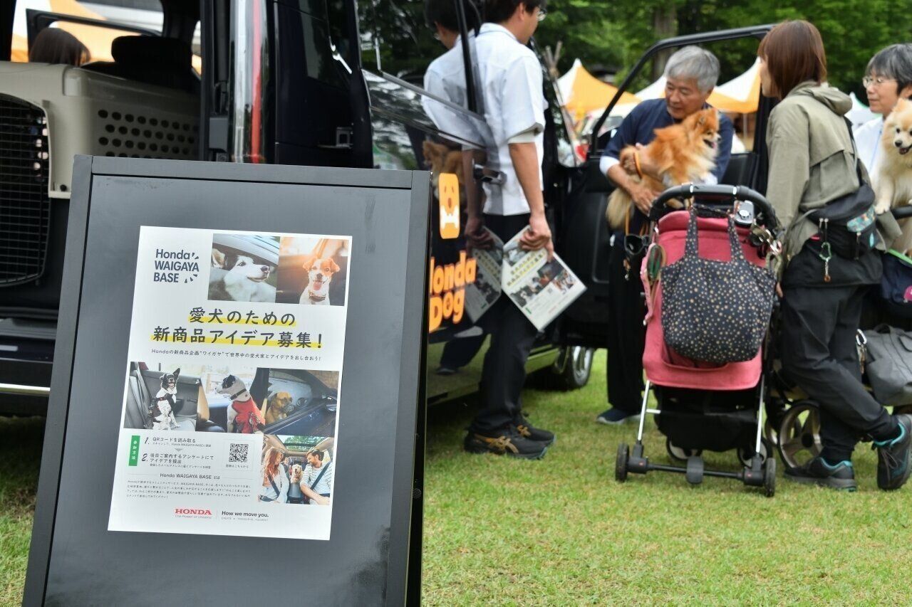 愛犬のためのアイディア募集
