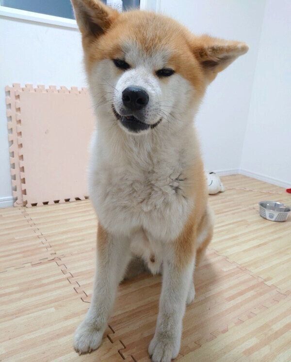 微笑むケンくん