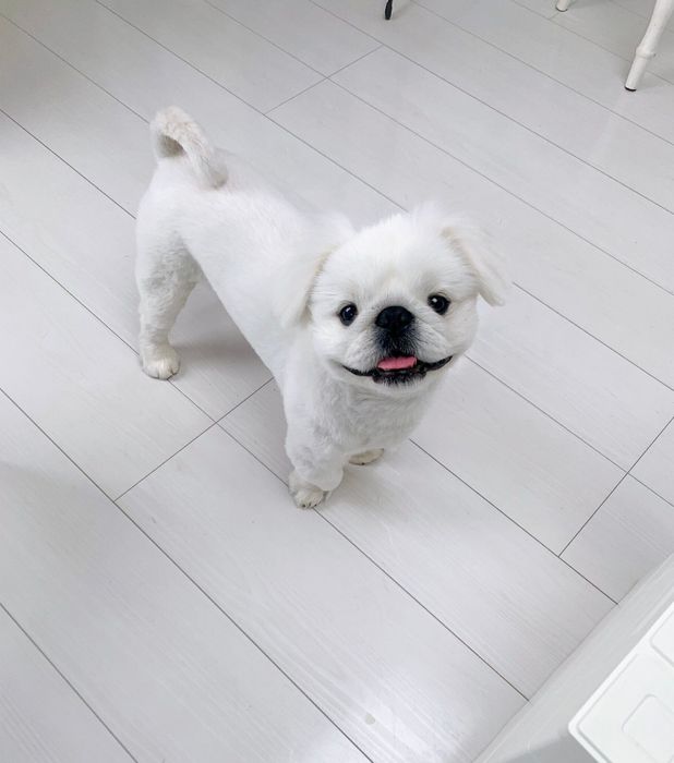 ニコっと笑ったこの表情、かわいすぎる