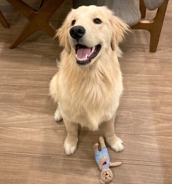 笑顔のぽち丸くん