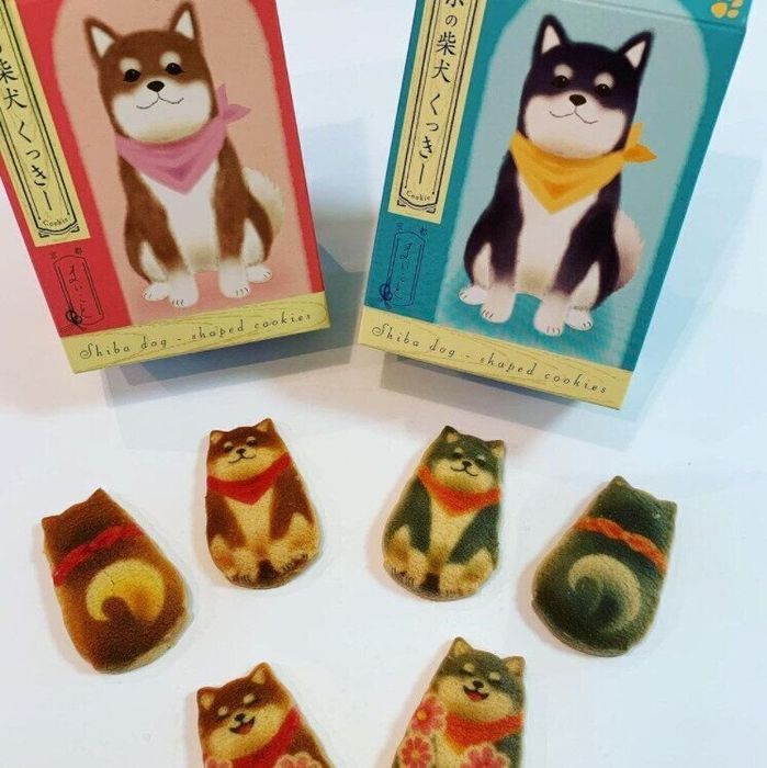 おすわりした柴犬がかわいい「京の柴犬くっきー」