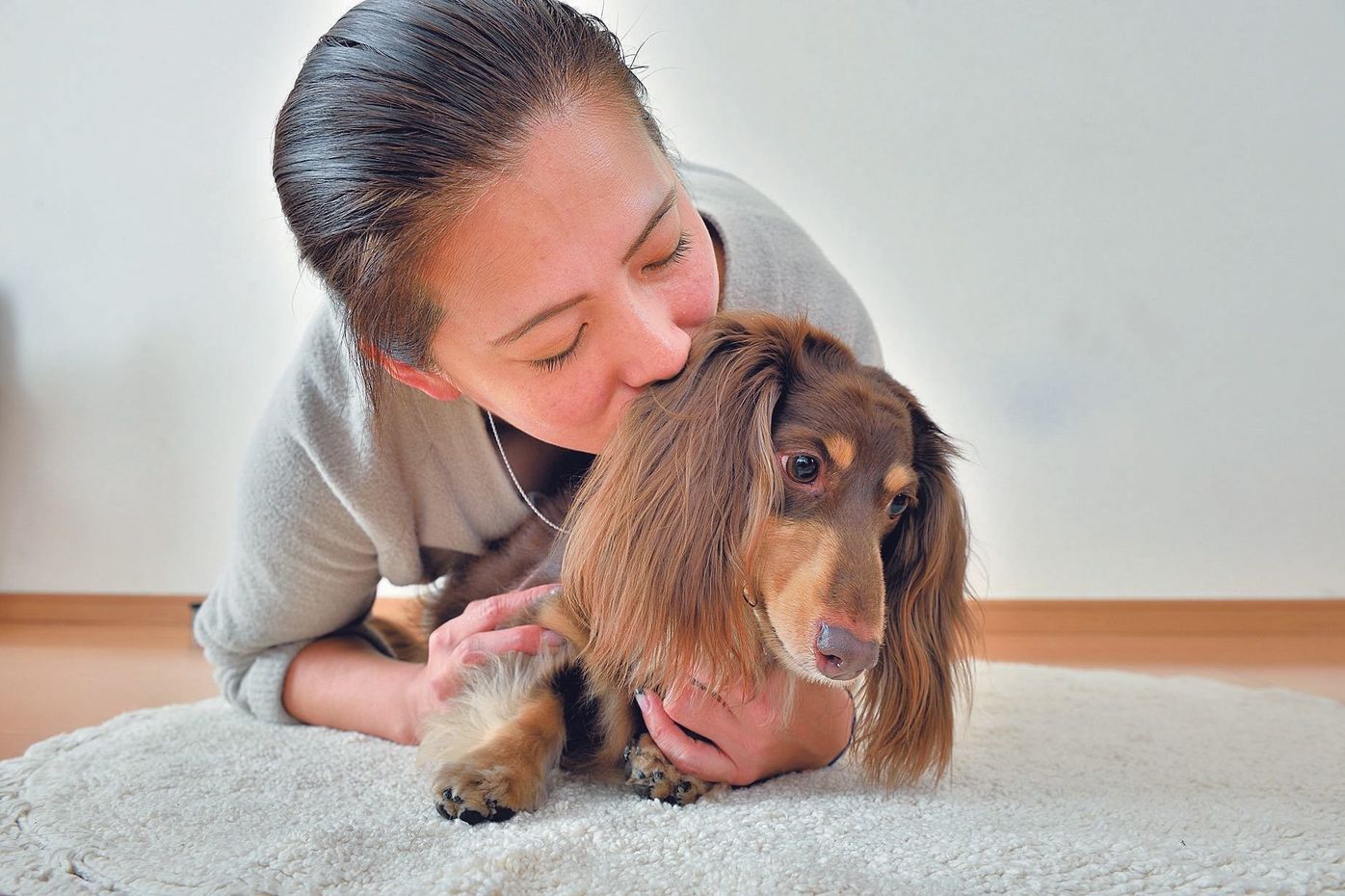 ドッグハラスメント 続けると吠えグセの原因にも いぬのきもちweb Magazine ドッグハラスメント 続けると吠えグセの原因にも いぬのきもちweb Magazine