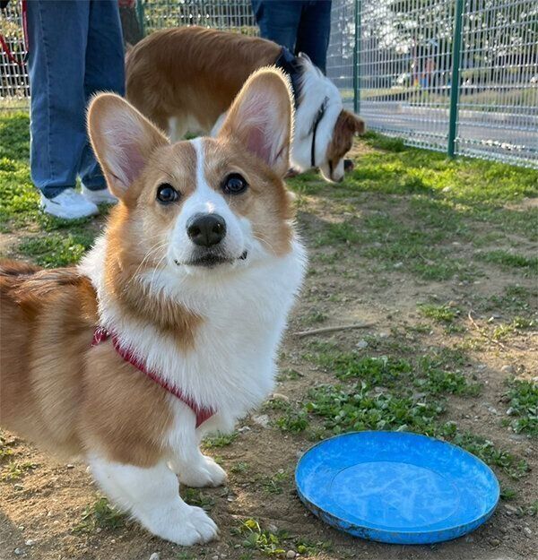 見つめるもなかちゃん